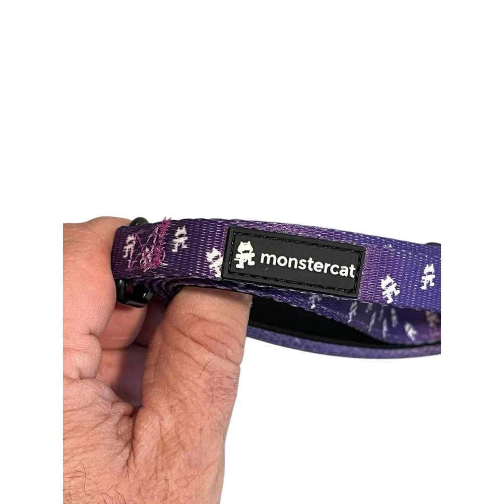 Monstercat Small Dog Harness Leash Collar Set